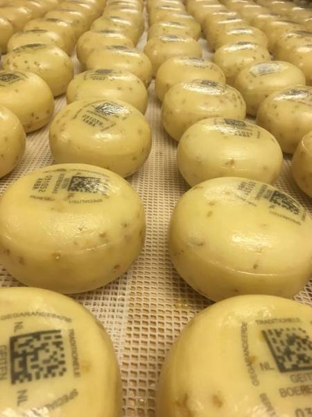 Strandurlaub Callantsoog LekkerNaarZee